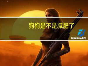 狗狗是不是减肥了