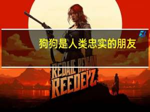 狗狗是人类忠实的朋友