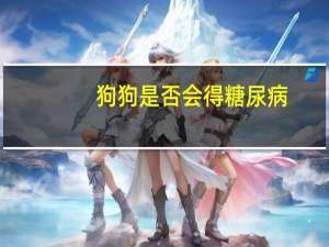 狗狗是否会得糖尿病