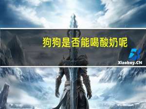 狗狗是否能喝酸奶呢