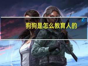 狗狗是怎么教育人的