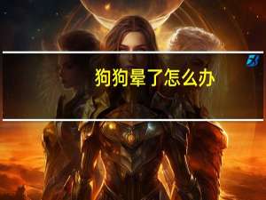 狗狗晕了怎么办