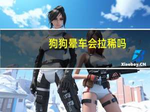 狗狗晕车会拉稀吗