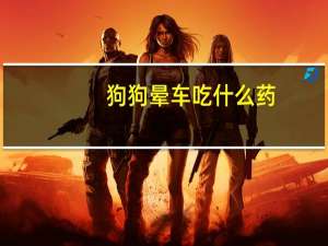 狗狗晕车吃什么药