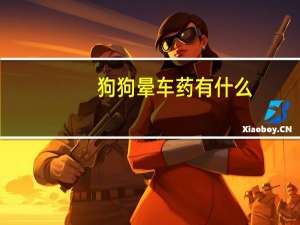 狗狗晕车药有什么