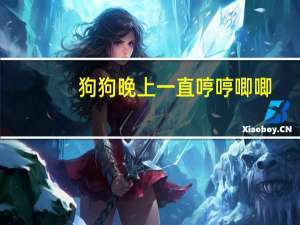 狗狗晚上一直哼哼唧唧