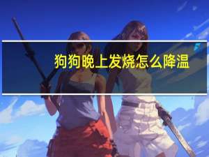 狗狗晚上发烧怎么降温