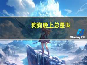 狗狗晚上总是叫