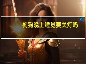 狗狗晚上睡觉要关灯吗