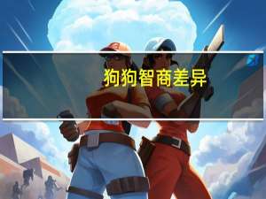 狗狗智商差异
