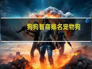 狗狗智商排名宠物狗