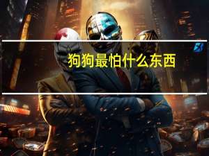 狗狗最怕什么东西