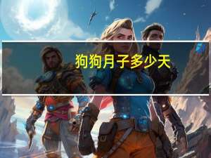 狗狗月子多少天