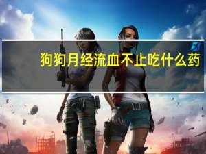 狗狗月经流血不止吃什么药
