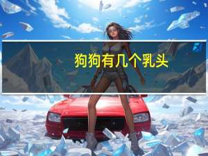 狗狗有几个乳头