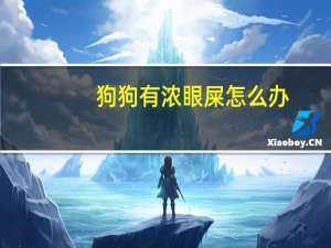 狗狗有浓眼屎怎么办