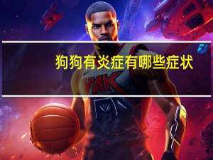 狗狗有炎症有哪些症状