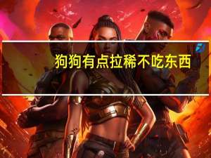狗狗有点拉稀不吃东西