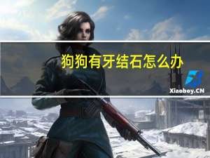 狗狗有牙结石怎么办