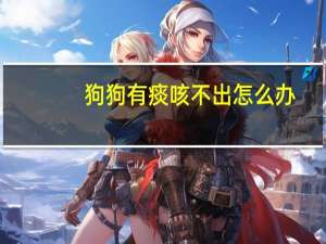 狗狗有痰咳不出怎么办