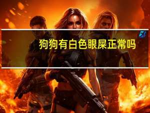 狗狗有白色眼屎正常吗