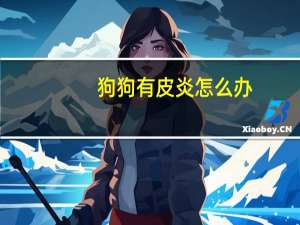 狗狗有皮炎怎么办