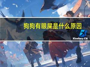 狗狗有眼屎是什么原因