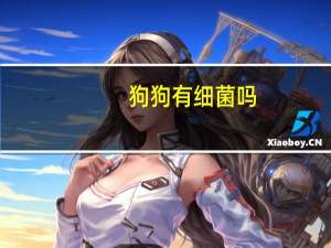 狗狗有细菌吗