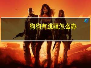 狗狗有跳骚怎么办