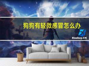 狗狗有轻微感冒怎么办