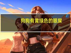 狗狗有黄绿色的眼屎