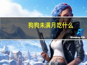 狗狗未满月吃什么