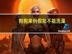狗狗来例假能不能洗澡