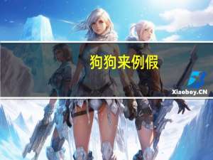 狗狗来例假