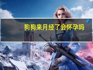 狗狗来月经了会怀孕吗