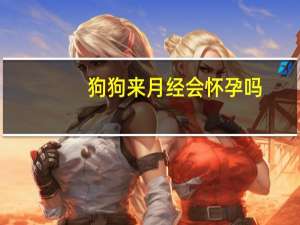 狗狗来月经会怀孕吗