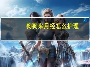 狗狗来月经怎么护理