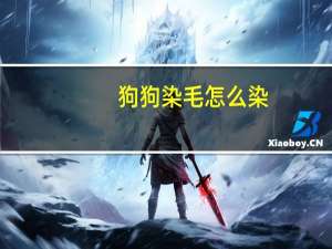 狗狗染毛怎么染