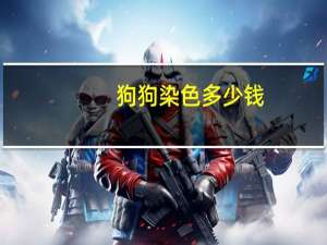 狗狗染色多少钱