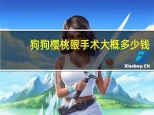 狗狗樱桃眼手术大概多少钱（眼手术大概多少钱）