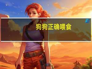狗狗正确喂食