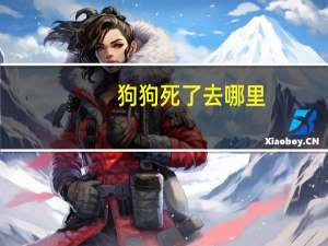 狗狗死了去哪里