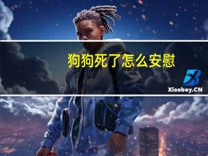 狗狗死了怎么安慰