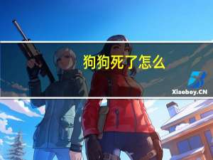 狗狗死了怎么