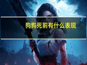 狗狗死前有什么表现
