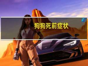狗狗死前症状