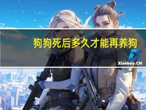 狗狗死后多久才能再养狗