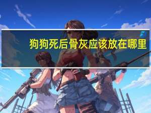 狗狗死后骨灰应该放在哪里