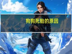 狗狗死胎的原因