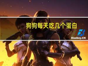 狗狗每天吃几个蛋白